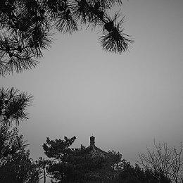 《街头霸王2》、《怒之铁拳》封面插画师因病逝世